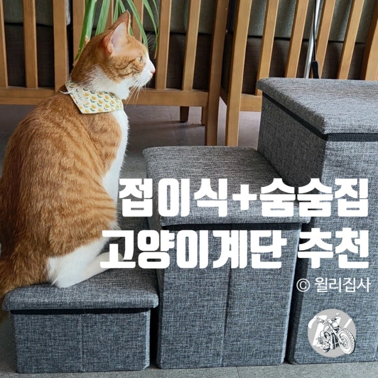  고양이 계단 추천 숨숨집에 접이식 수납까지