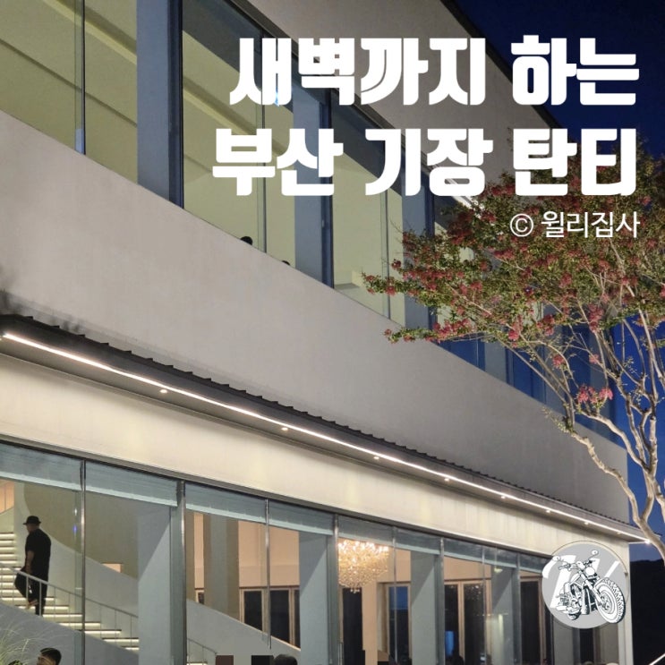  새벽까지 하는 대형카페 부산 신상 기장 정관 탄티
