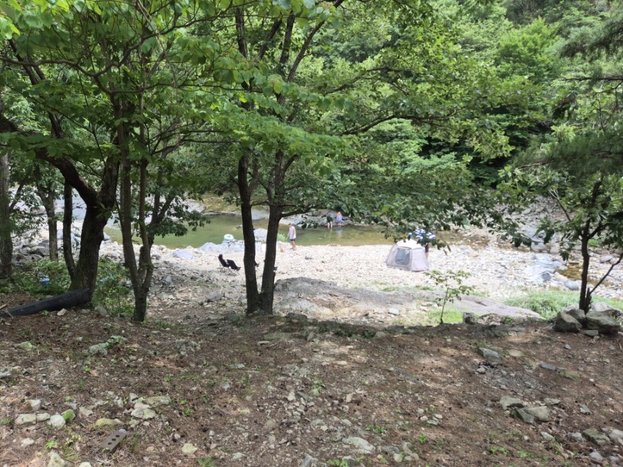 소나무펜션 사진 5