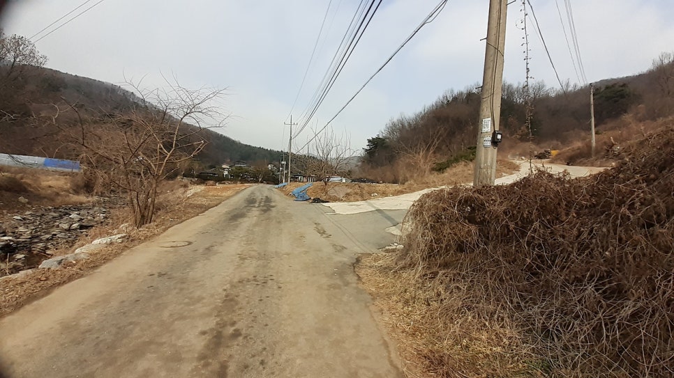 불붙은데산 사진 4