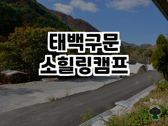 태백에서 만나는 자연 속 완벽 힐링, 태백구문소힐링캠프 솔직 후기 ✨