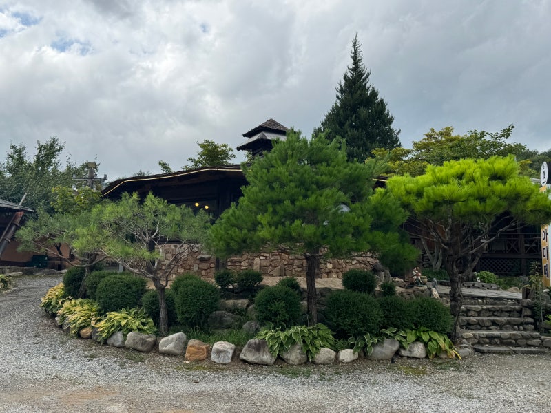 사진 3