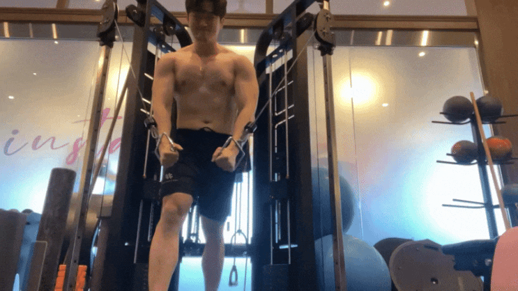  케이블 플라이 자세 가슴 근육 키우는 가슴 커지는 운동 효과