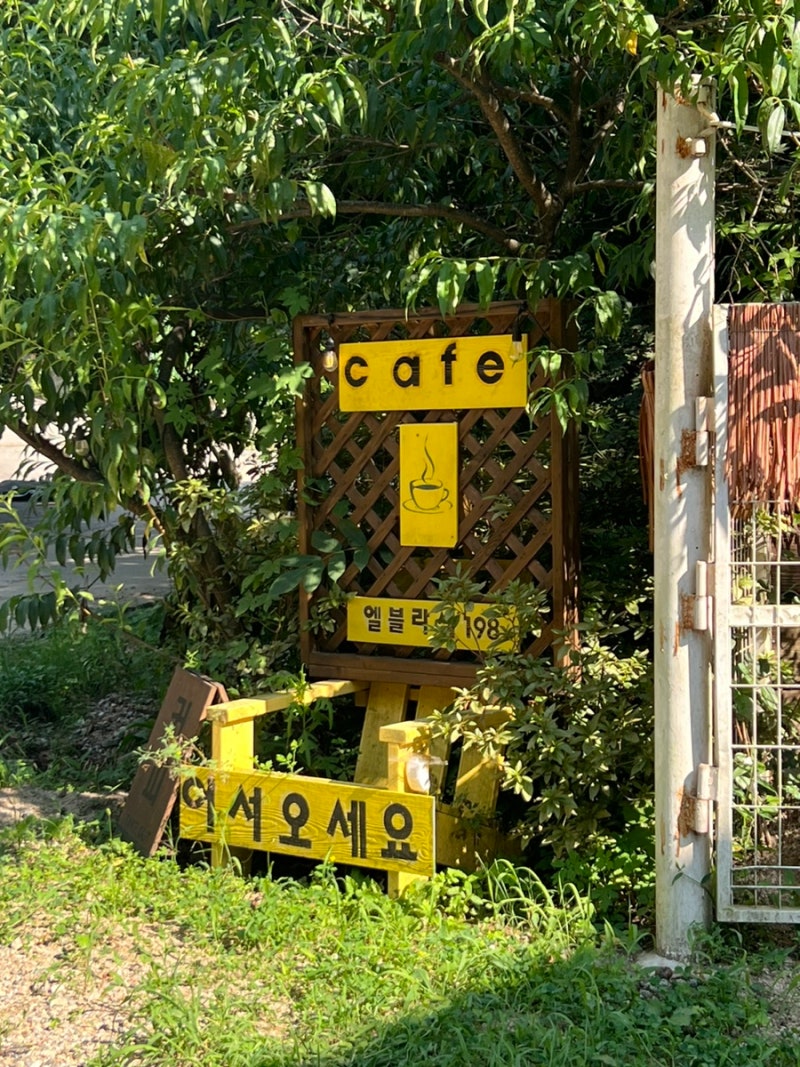 사진 2
