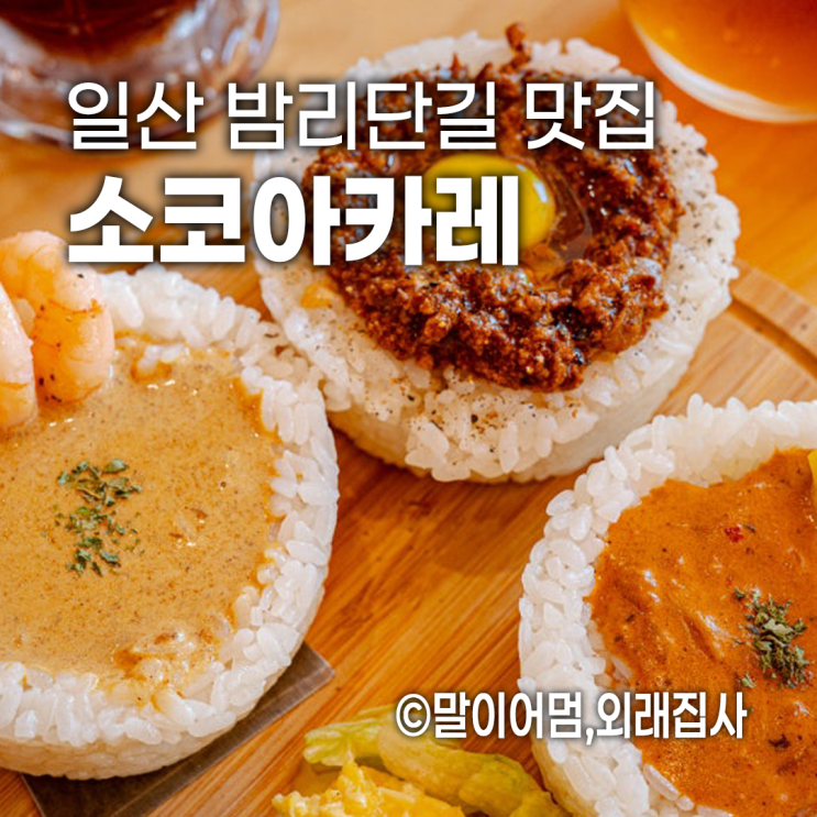  일산 애견동반 카레맛집 소코아, 3종카레와 무한리필의 행복