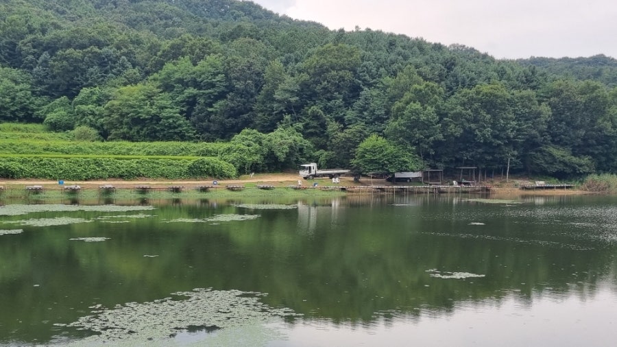 삼합저수지 사진 1