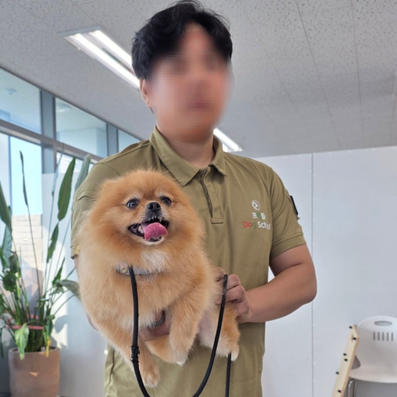 사진 2