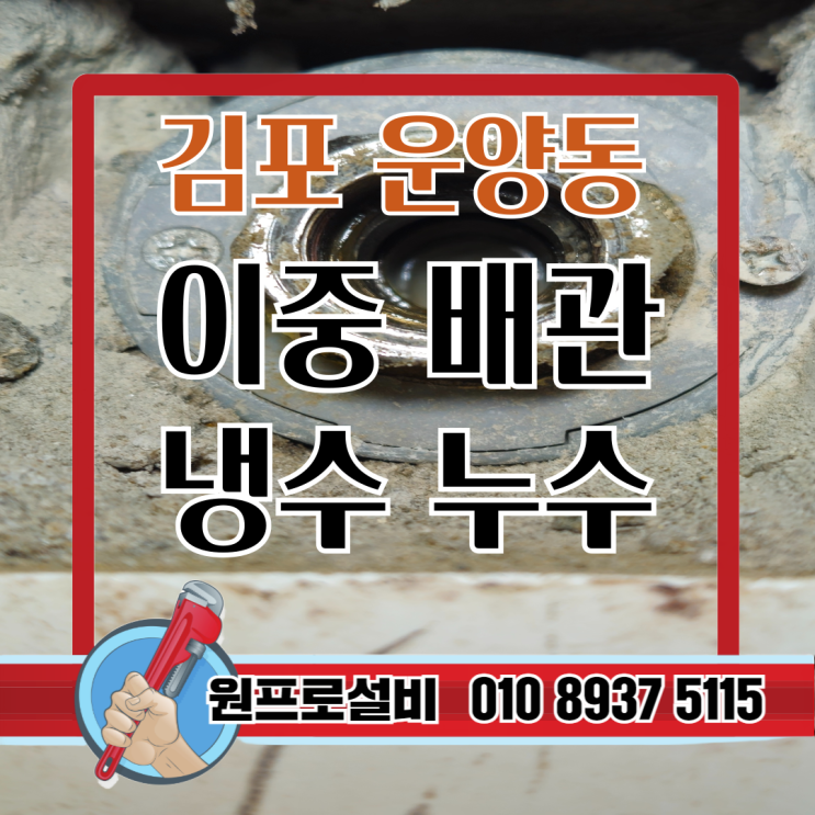  운양동누수, 이중배관 냉수 누수 완벽 해결 사례