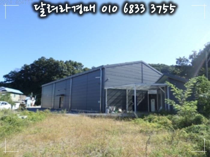 해화 사진 4