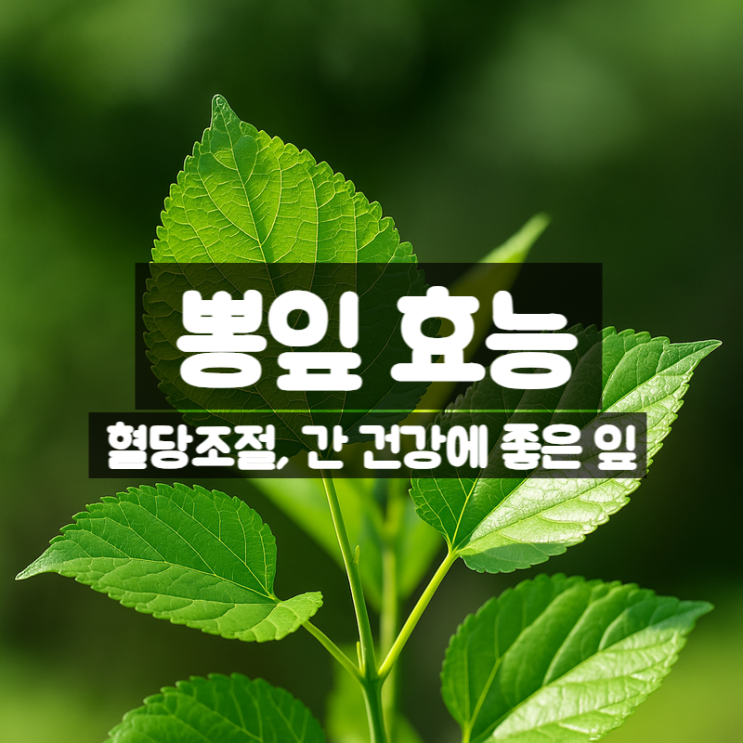  뽕잎 효능 부작용, 차 나물 분말 가루 활용법