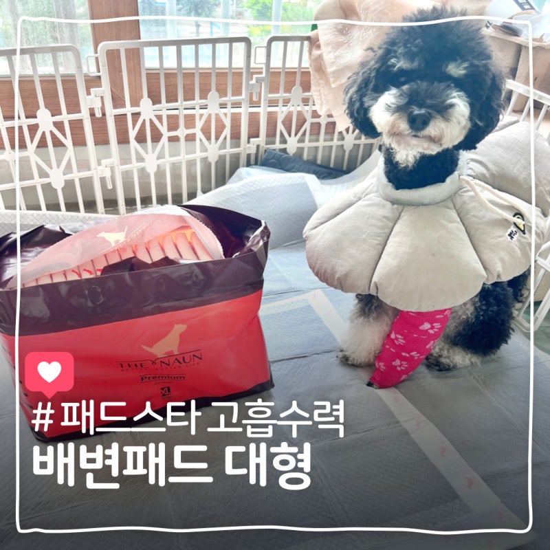 강아지 배변패드 추천 패드스타 명품 고흡수력 배변패드 대형