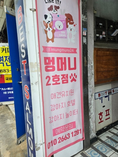 사진 4