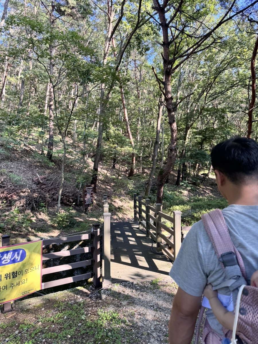 마감산산림욕장 사진 5
