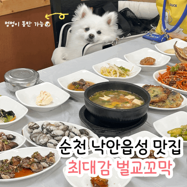  순천 애견 동반 식당 최대감벌교꼬막 낙안읍성 산책까지 한번에
