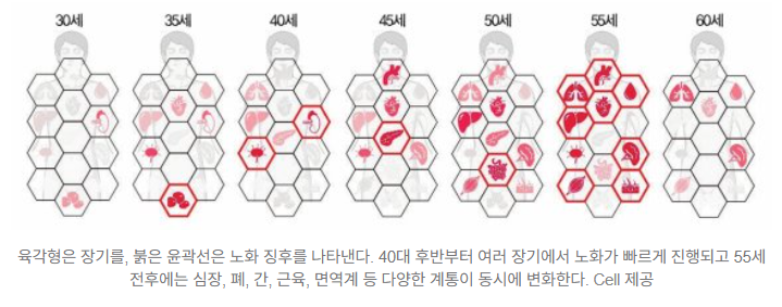  “노화는 일정하지 않다”…40대 후반~50대, 전신 급격 변화 시기 