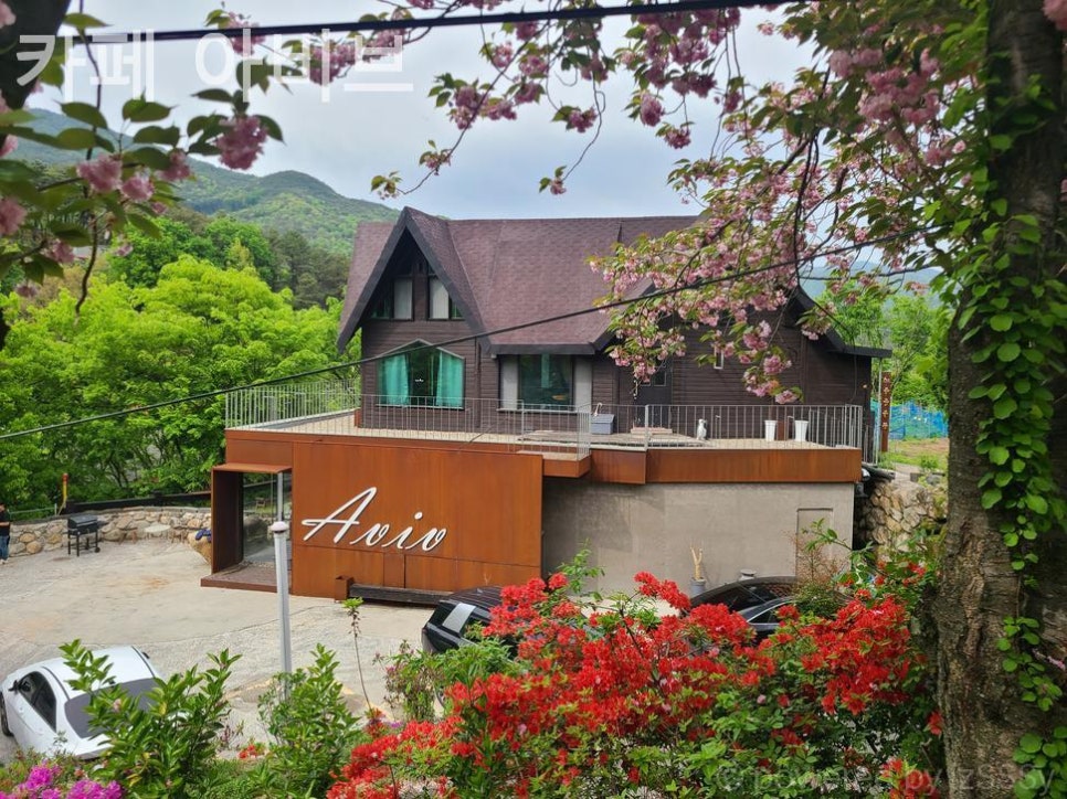카페아비브 사진 2