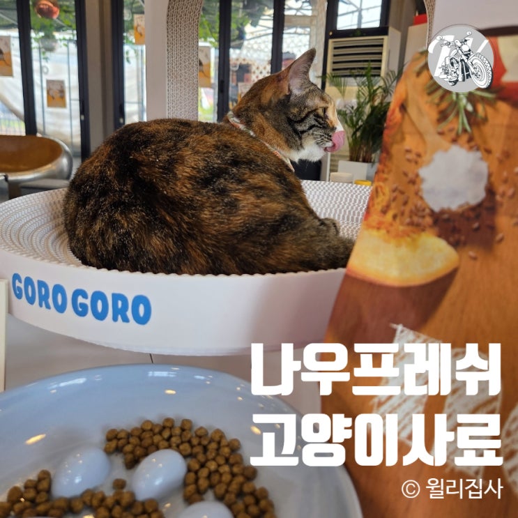  나우프레쉬 연령별 고양이 생육사료