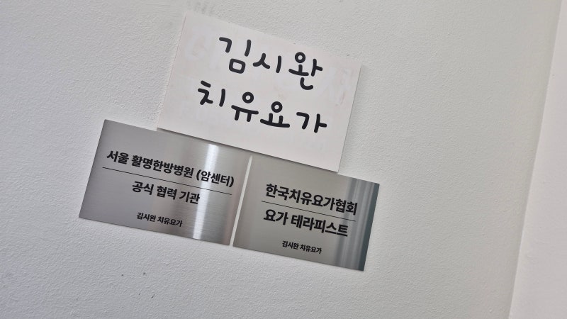 포항요가 김시완 치유요가 살라바아사나 유지태자세