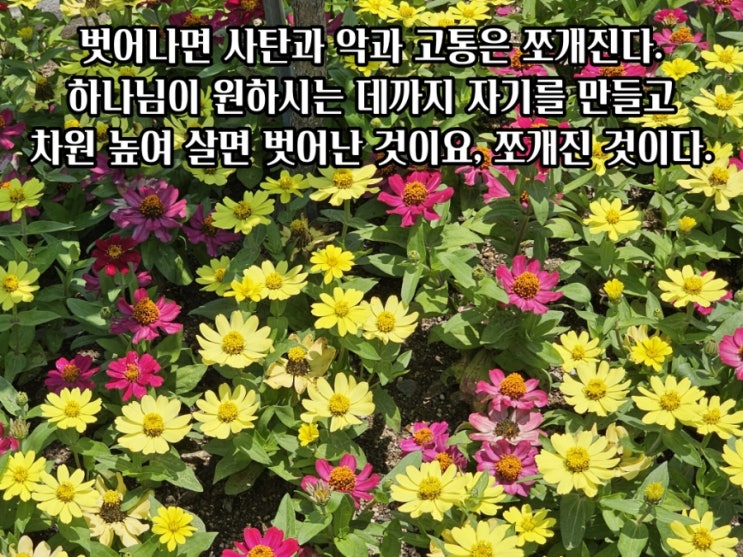  jms 정명석목사 잠언 ㅡ 벗어나면