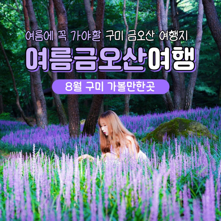  여름 구미 가볼만한곳 금오산 맥문동 숲길 & 채미정 계곡