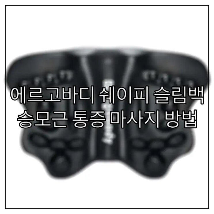  에르고바디 쉐이피 슬림백 승모근 통증 마사지 방법