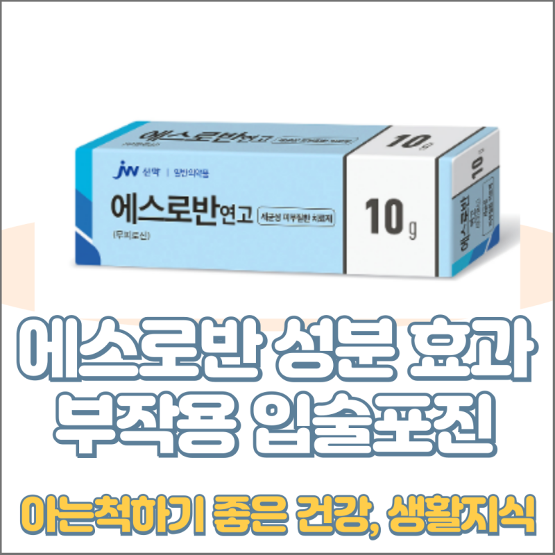 에스로반 입술포진 연고 후시딘 딱지 정보