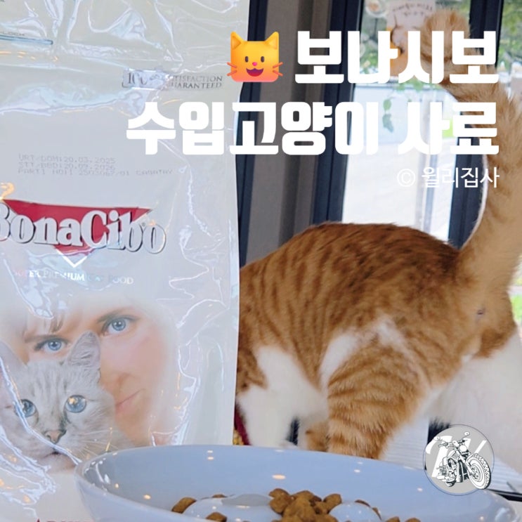  수입 고양이사료 추천 고양이를 생각한다면 보나시보