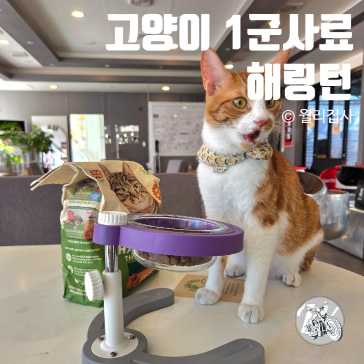  고양이 1군 사료 기호성 좋은 해링턴 영국사료