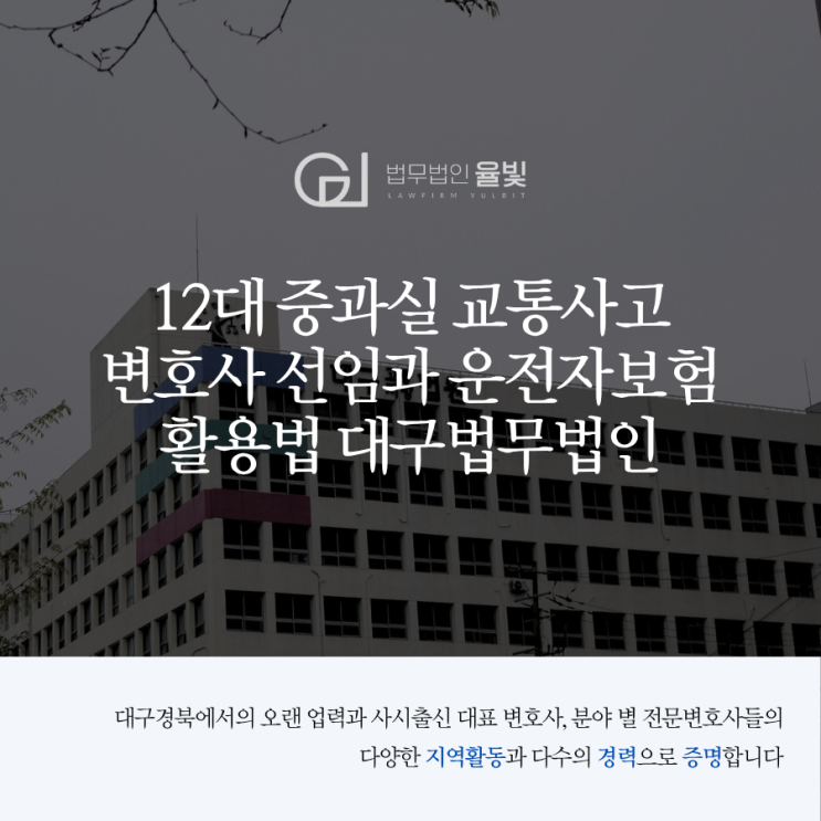  12대 중과실 교통사고 변호사 선임과 운전자보험 활용법 대구법무법인