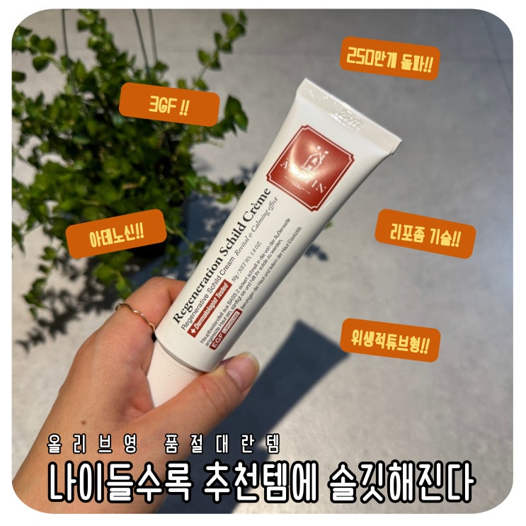  올리브영 품절대란템 에르쯔틴 실트크림 추천