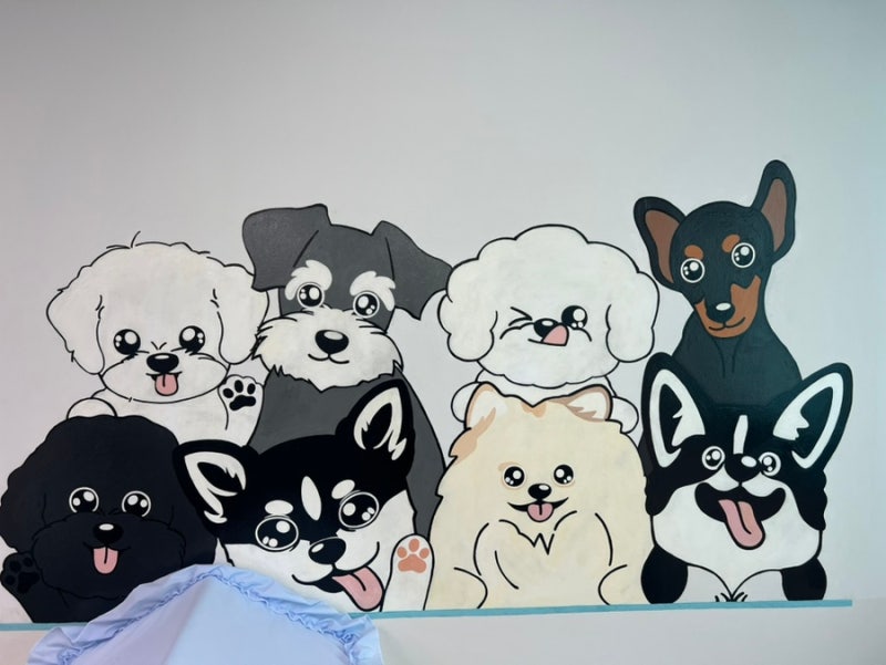 사진 6