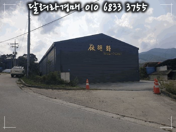 해화 사진