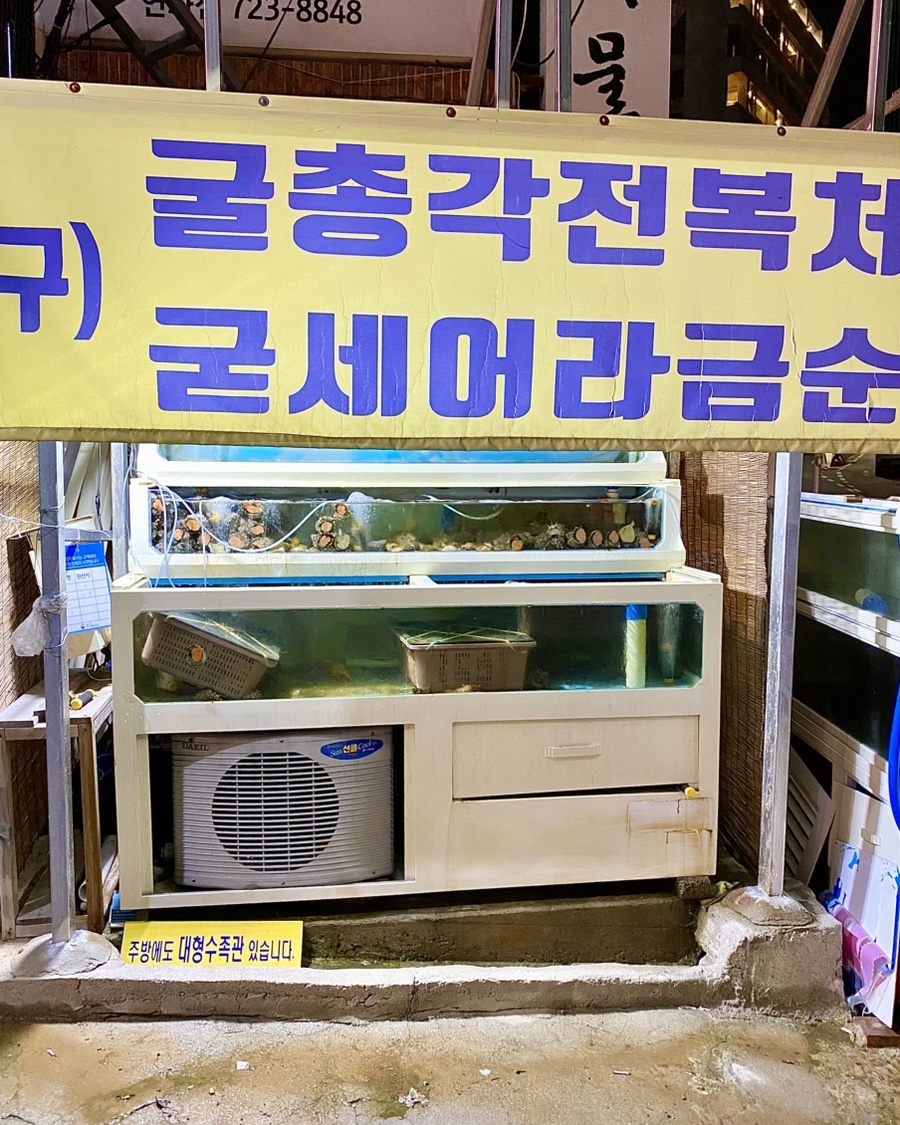 제주해녀할매 사진 3