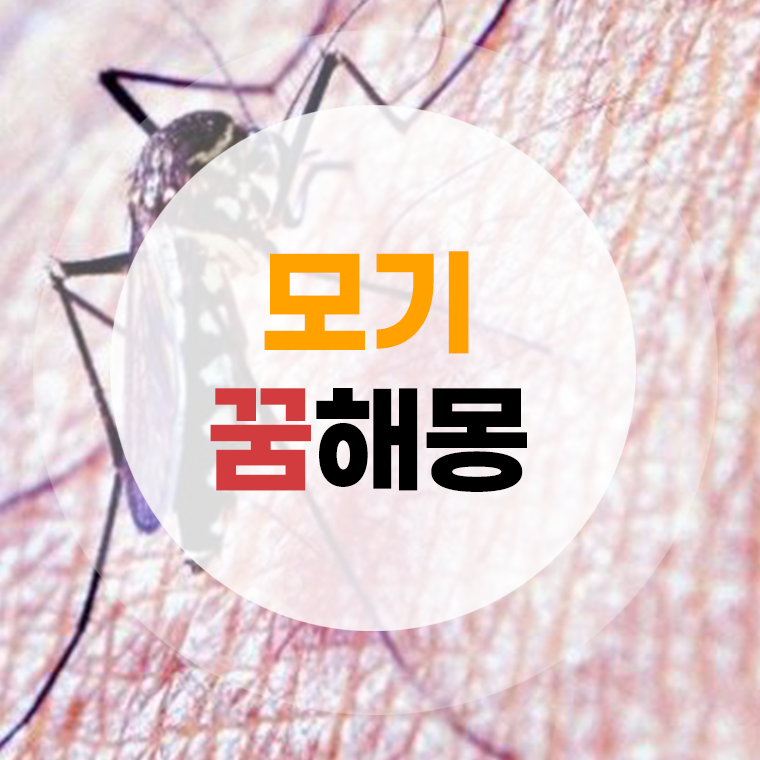 모기 꿈해몽 (잡는꿈, 나오는꿈, 물리는꿈, 모기떼꿈) 상황별 풀이