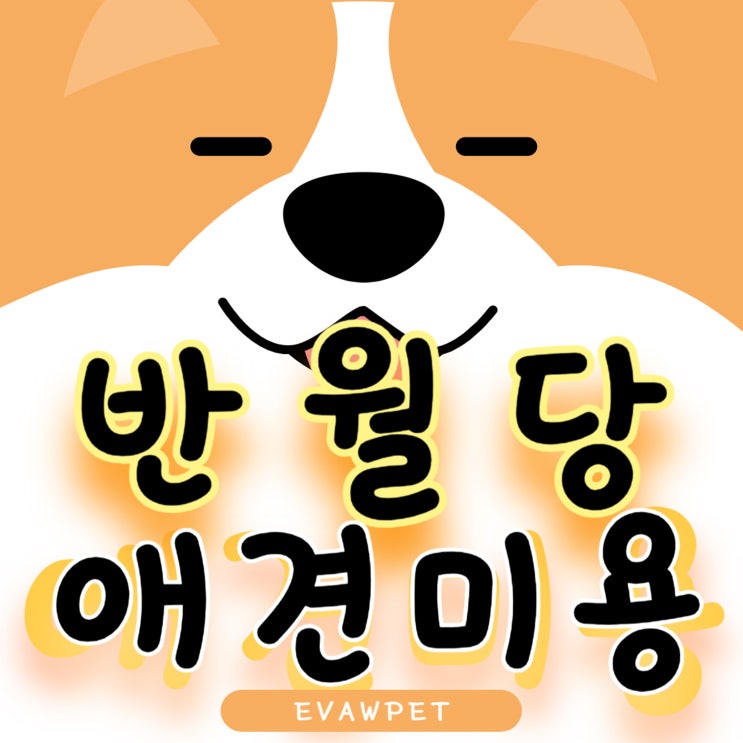  반월당애견미용학원 펫뷰티션 전문가 양성의 새로운 기준