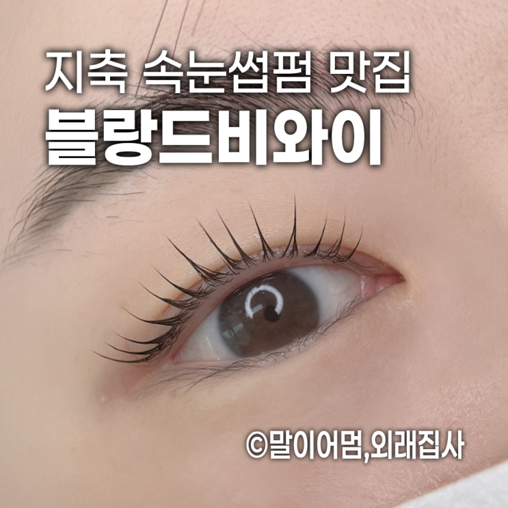  지축속눈썹펌 블랑드비와이 솔직후기 공유