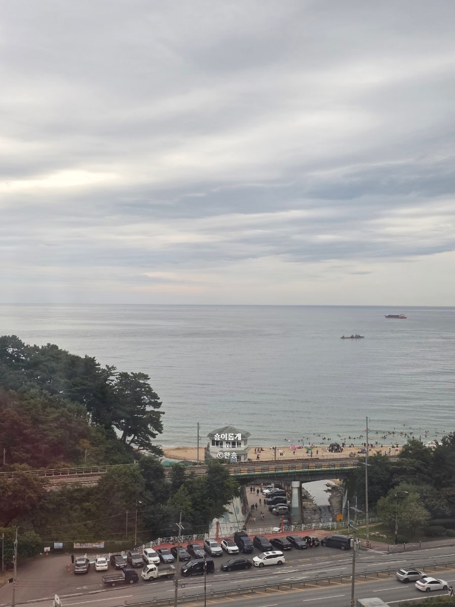 호호스테이 사진 7