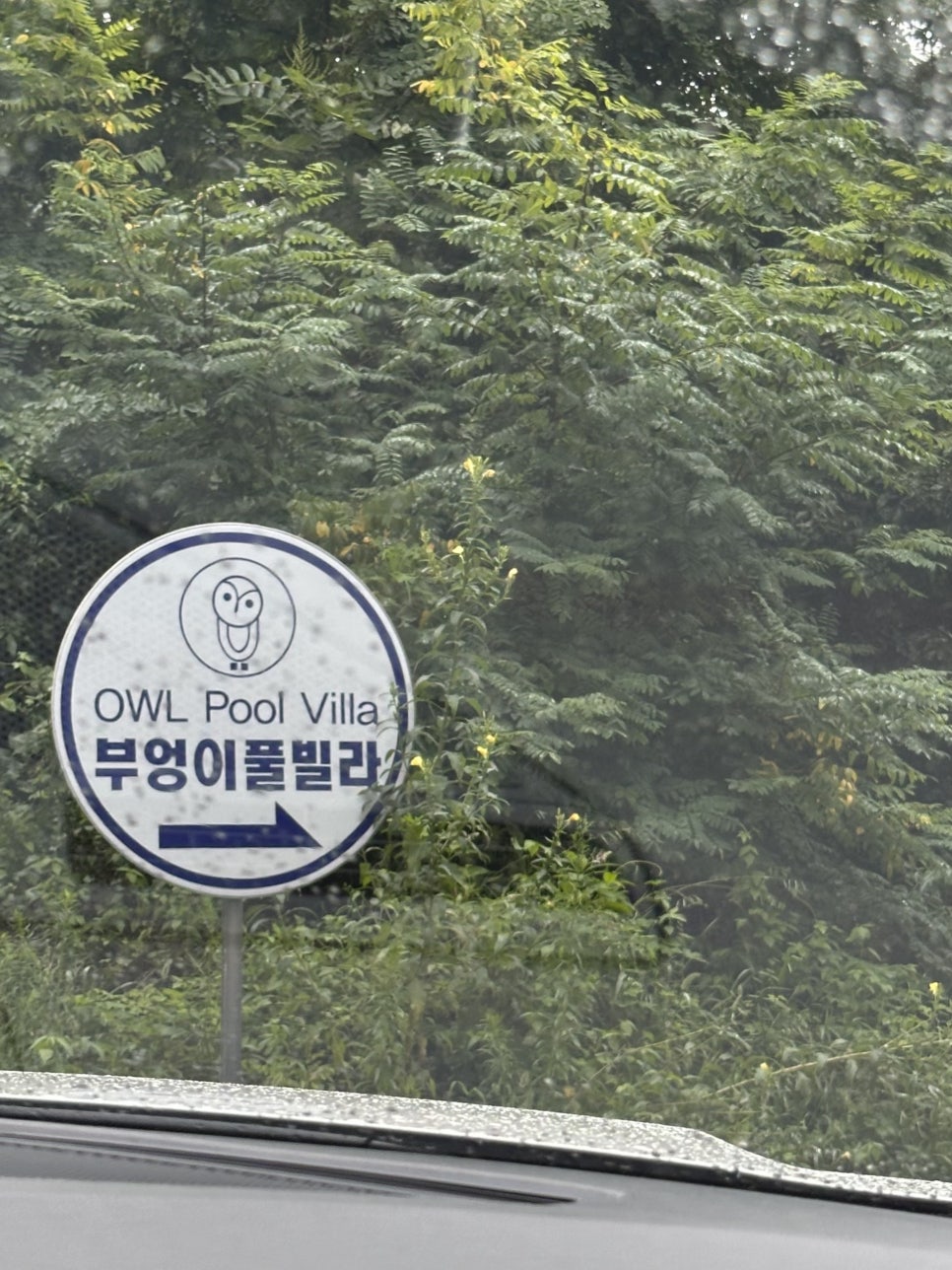 부엉이풀빌라펜션 사진 2