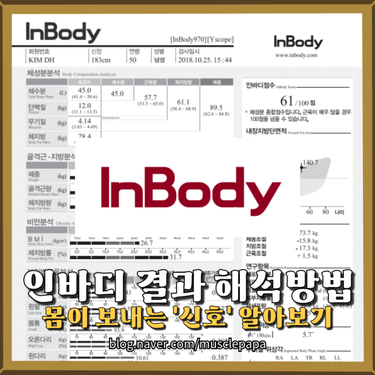  인바디 결과, 당신의 몸이 보내는 '숨겨진 신호'를 해석하는 법