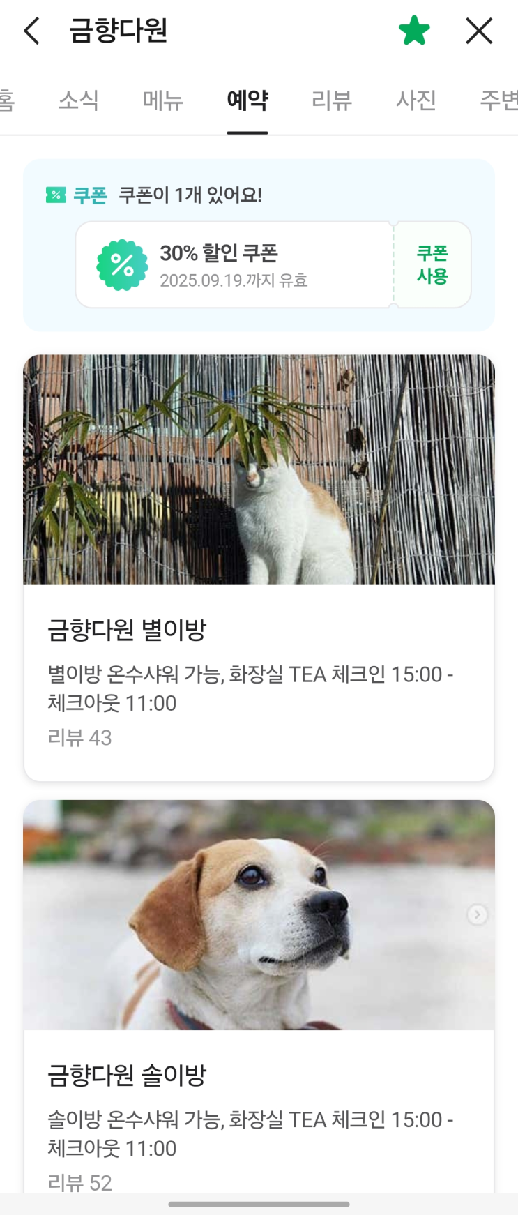  [가성비숙소][하동군] 가성비 숙소 금향다원 추천(경치좋음)