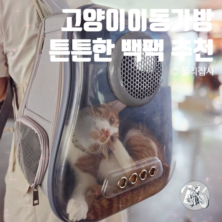  고양이 이동가방 튼튼한 백팩 추천