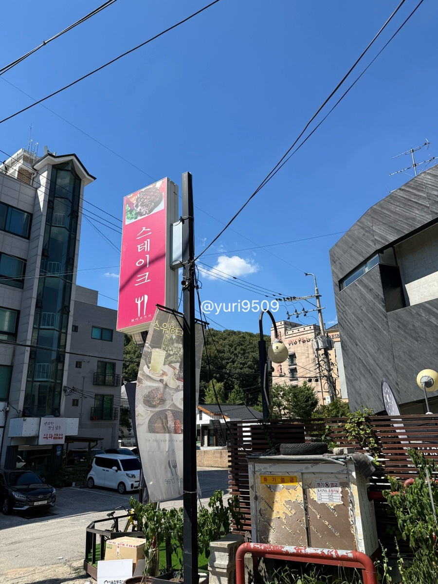올리브트리 사진 1