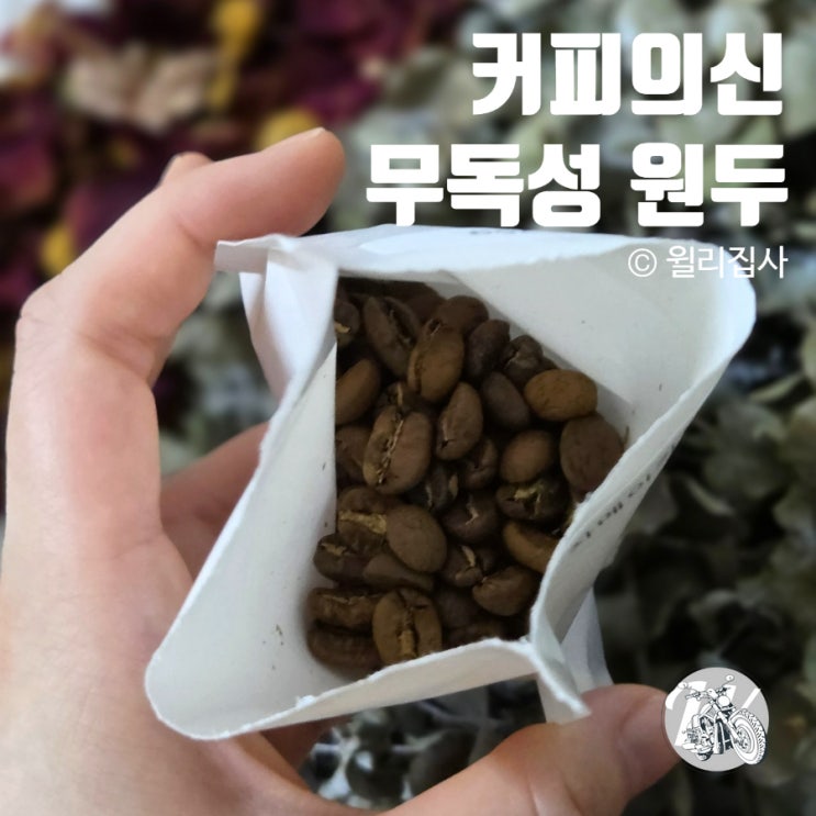  커피원두 커피의신 고급 무독성 블루마운틴커피