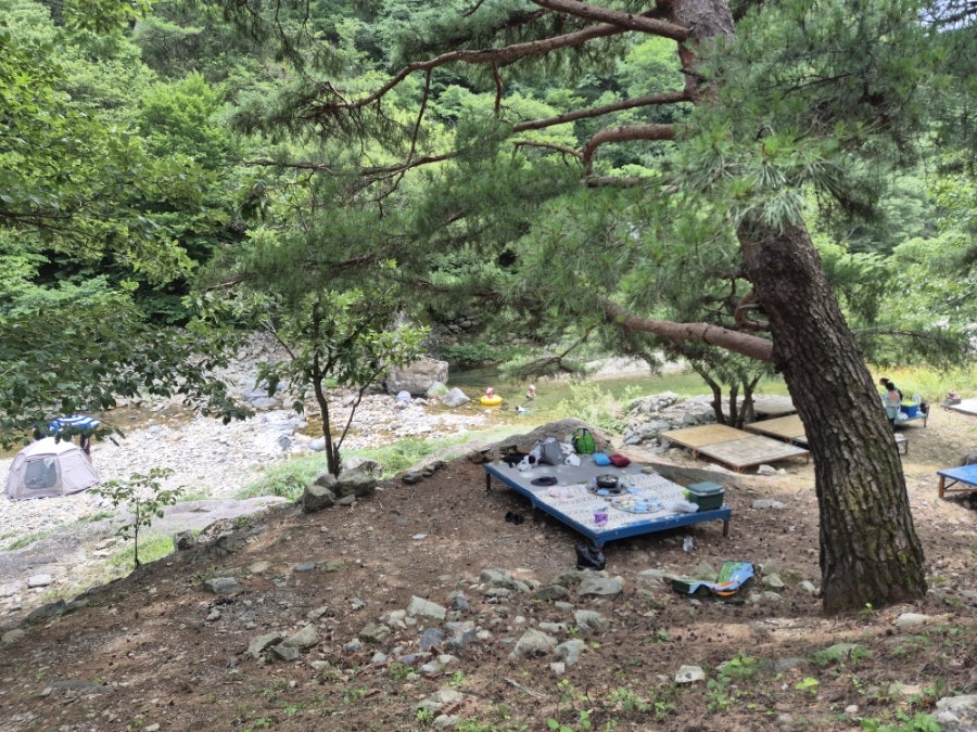소나무펜션 사진 6