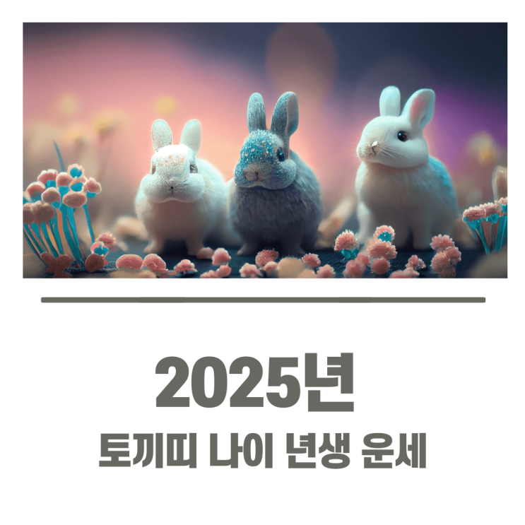  토끼띠 2025년 나이 년생 삼재 잘맞는띠 운세 정리