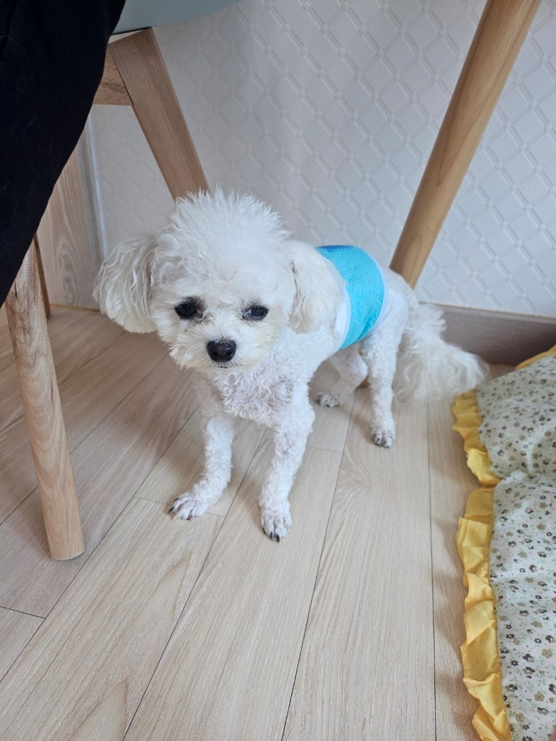 사진 6