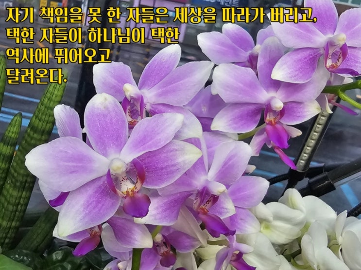  jms 정명석목사 잠언 ㅡ 하나님이 택한 역사