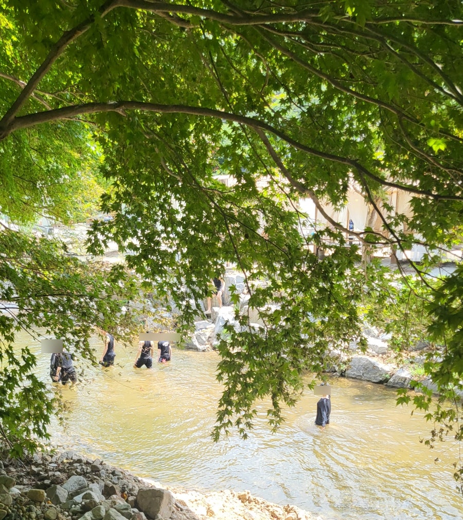 황산야영장 사진 5