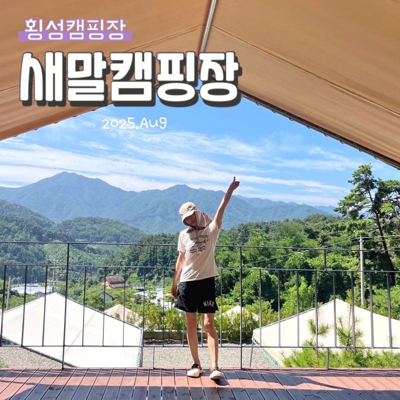 사진 6