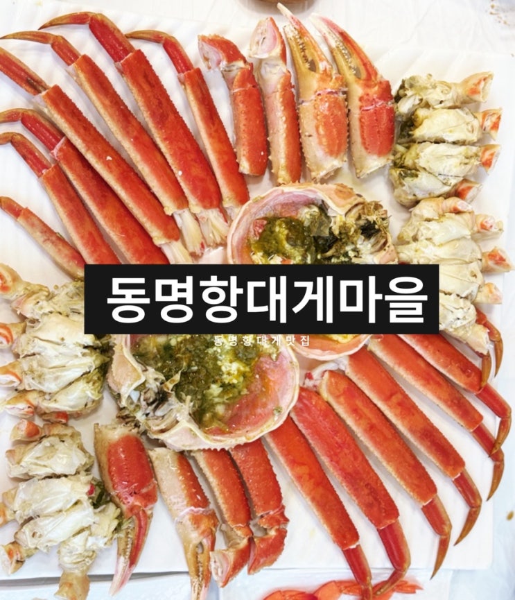  동명항 대게 전문점 싱싱함 가득한 동명항대게마을 솔직후기